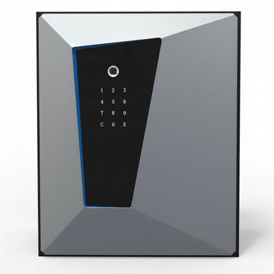 Fireproof Smart Safe Built for Multi-Layer Security, 2.1 Cubic Feet Capacity, Fingerprint Access, Steel Construction